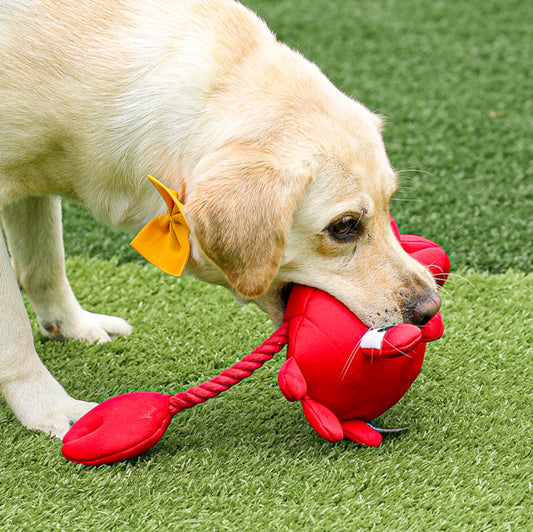 How to Choose the Right Dog Toy for Your Pet - Petsline