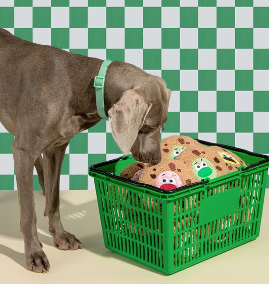 How to Help Your Dog Fall in Love with Their Toys - Petsline