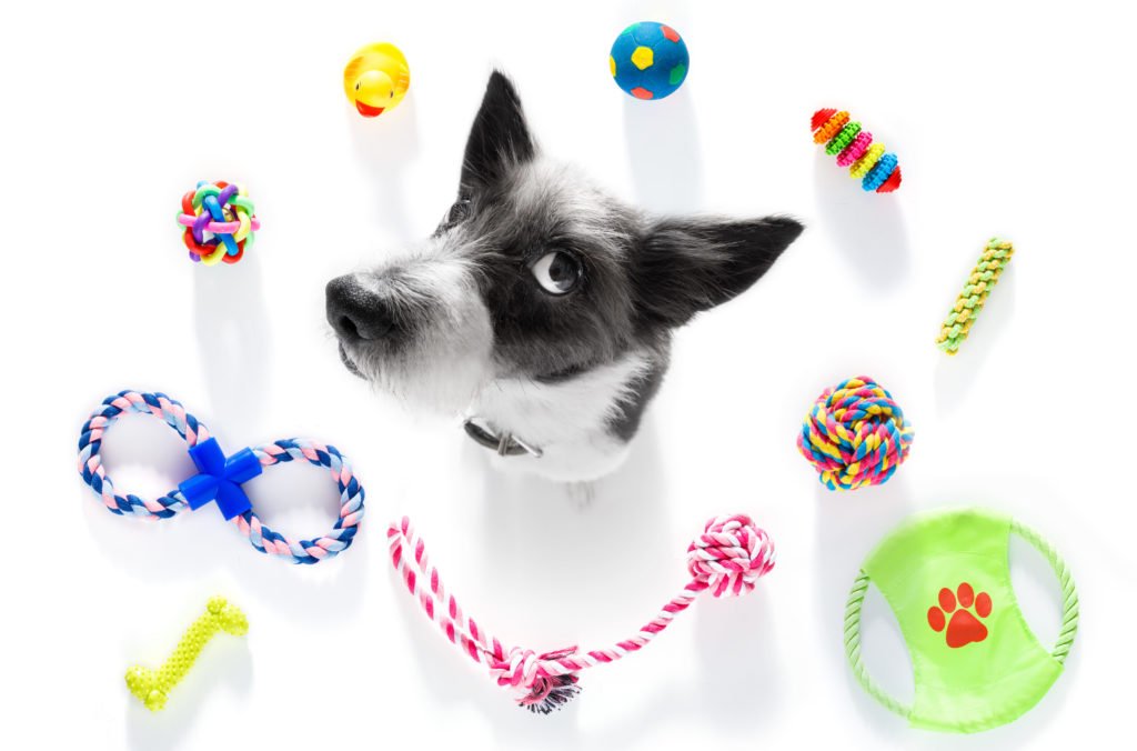 Plush Dog Toys: Why Dogs Love Them and How to Choose the Best One - Petsline