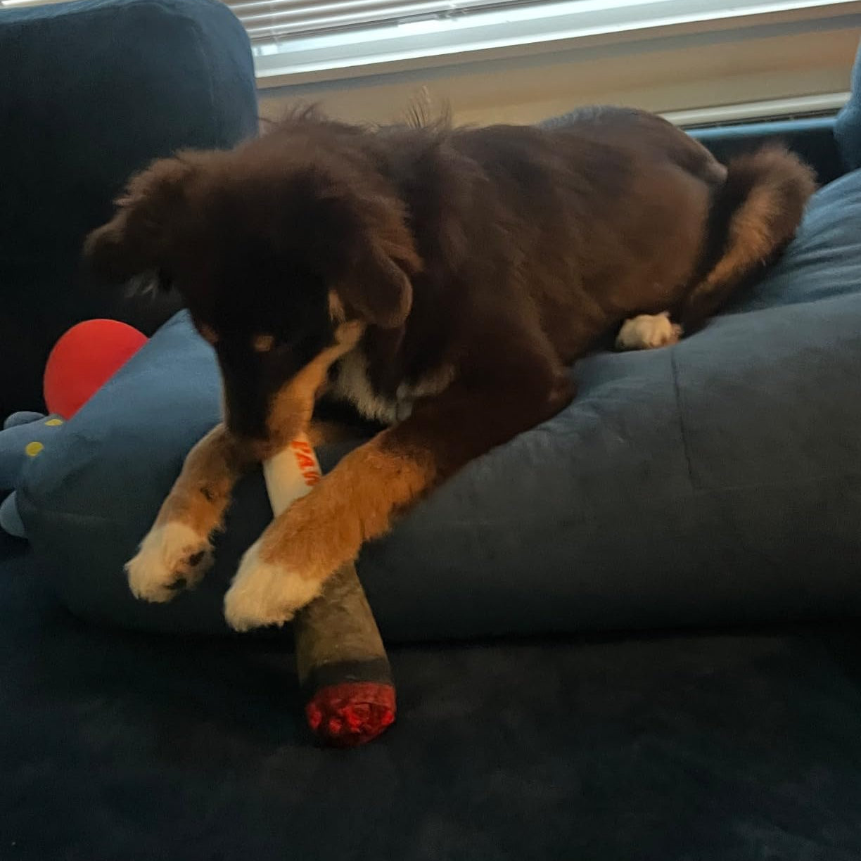 Squeaky Cigar Dog Toy