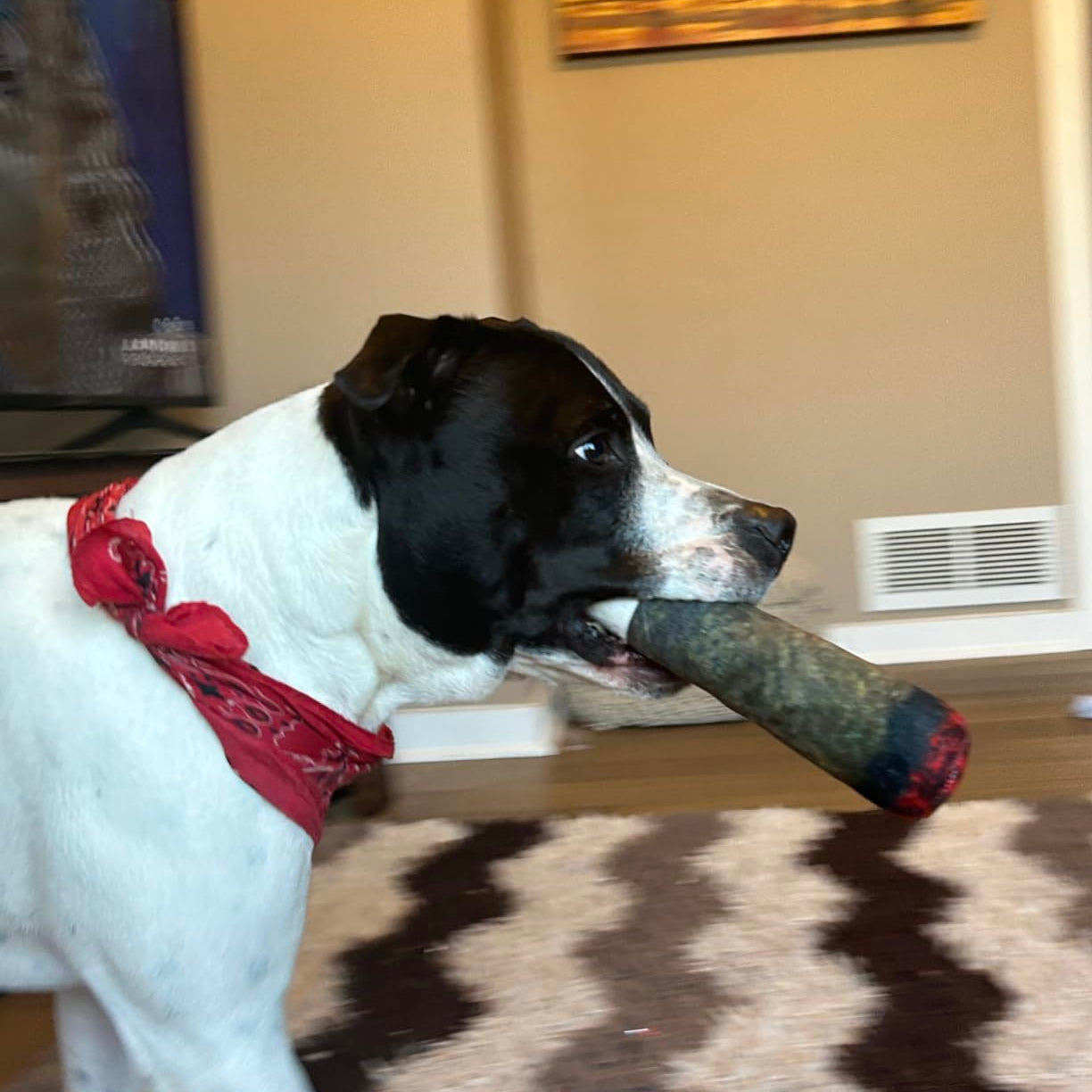 Squeaky Cigar Dog Toy