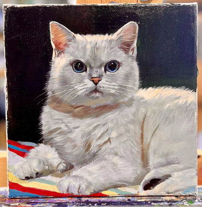 Custom Pet Portraits - Oil Painting