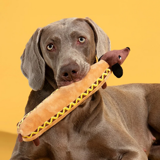 plush_dog_toy_cookie_squeaky_crinkle_cuddle_puppy-squeaky-hot-dog