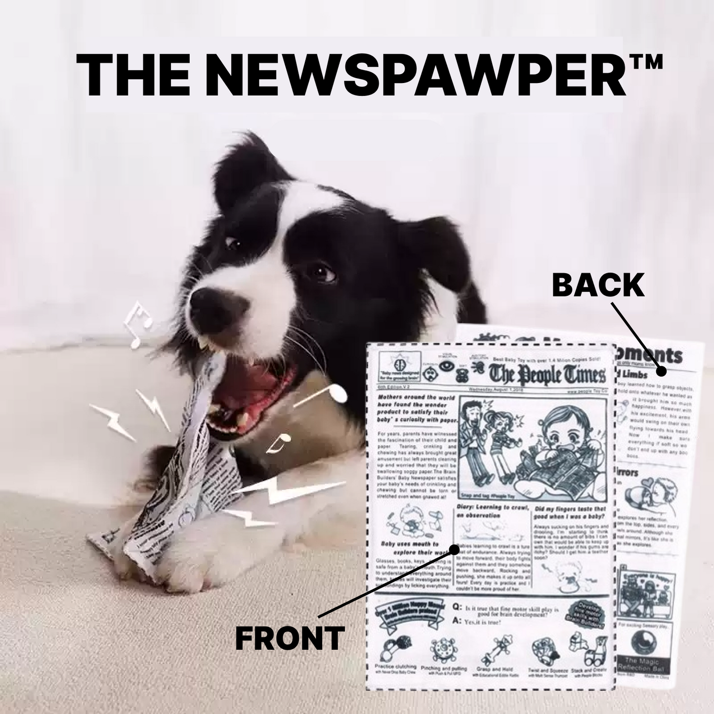 The Crinkle Newspawper